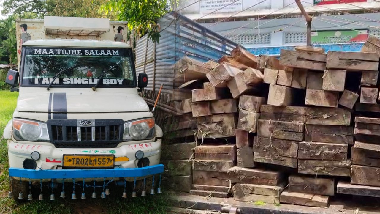 Bagbasa Forest Department
