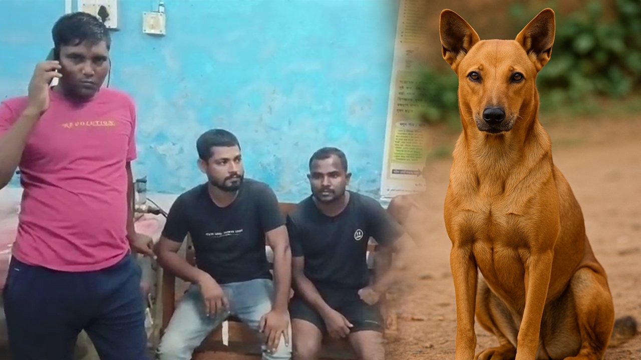 Kailasahar Dog News