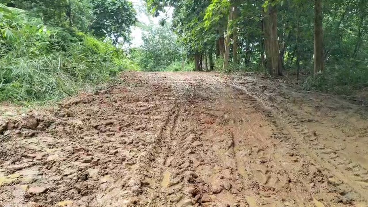 Belonia Road News