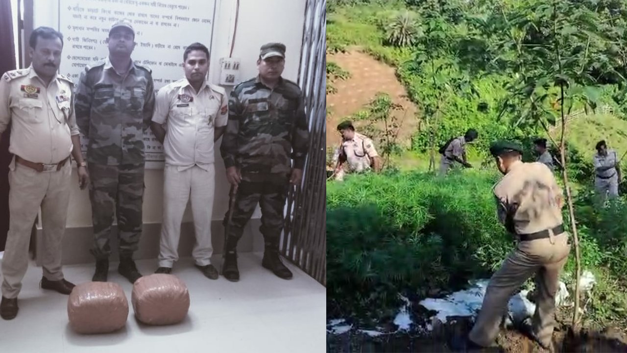 Jatrapur PS Ganja News