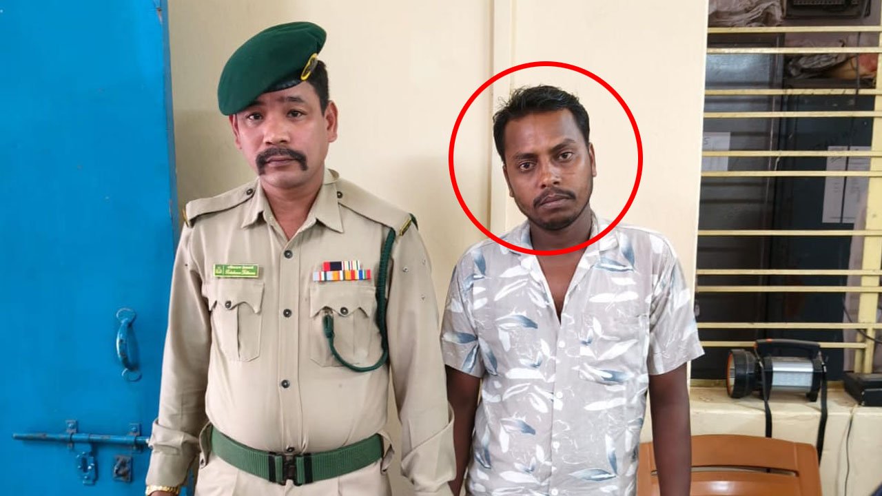 Amtali Beauty Das Case