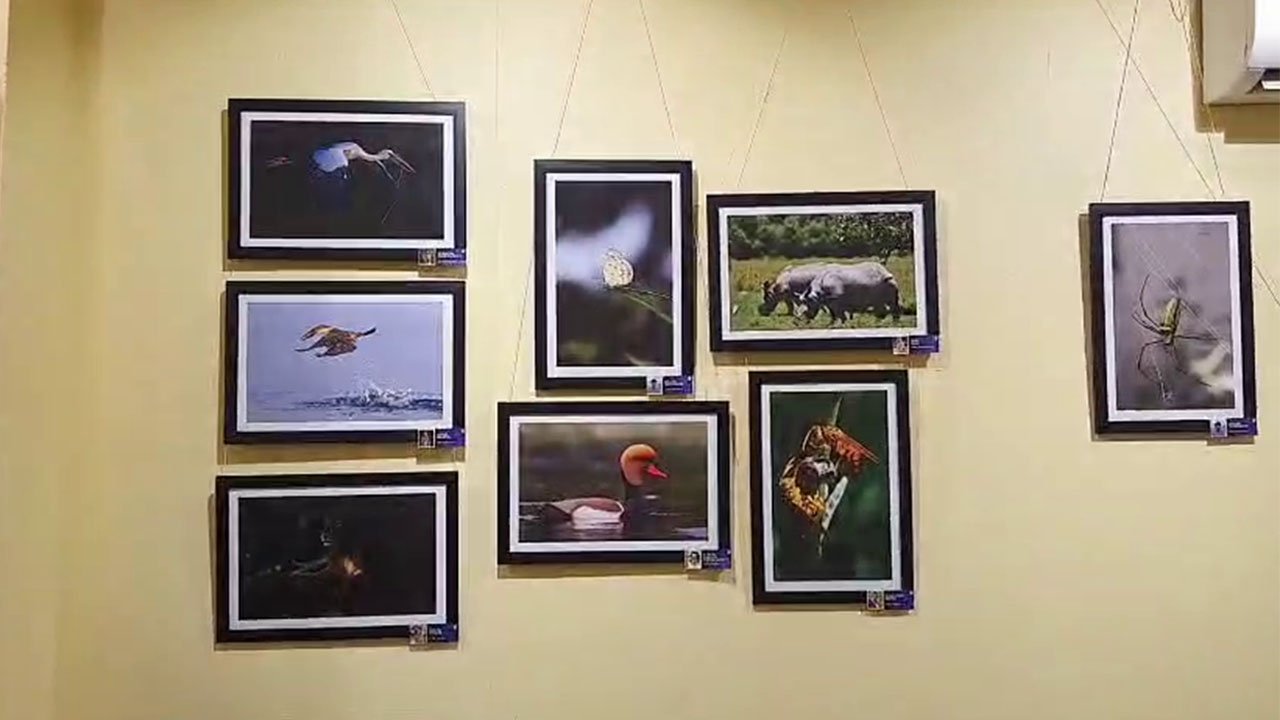 Streets of Tripura lens 4.O