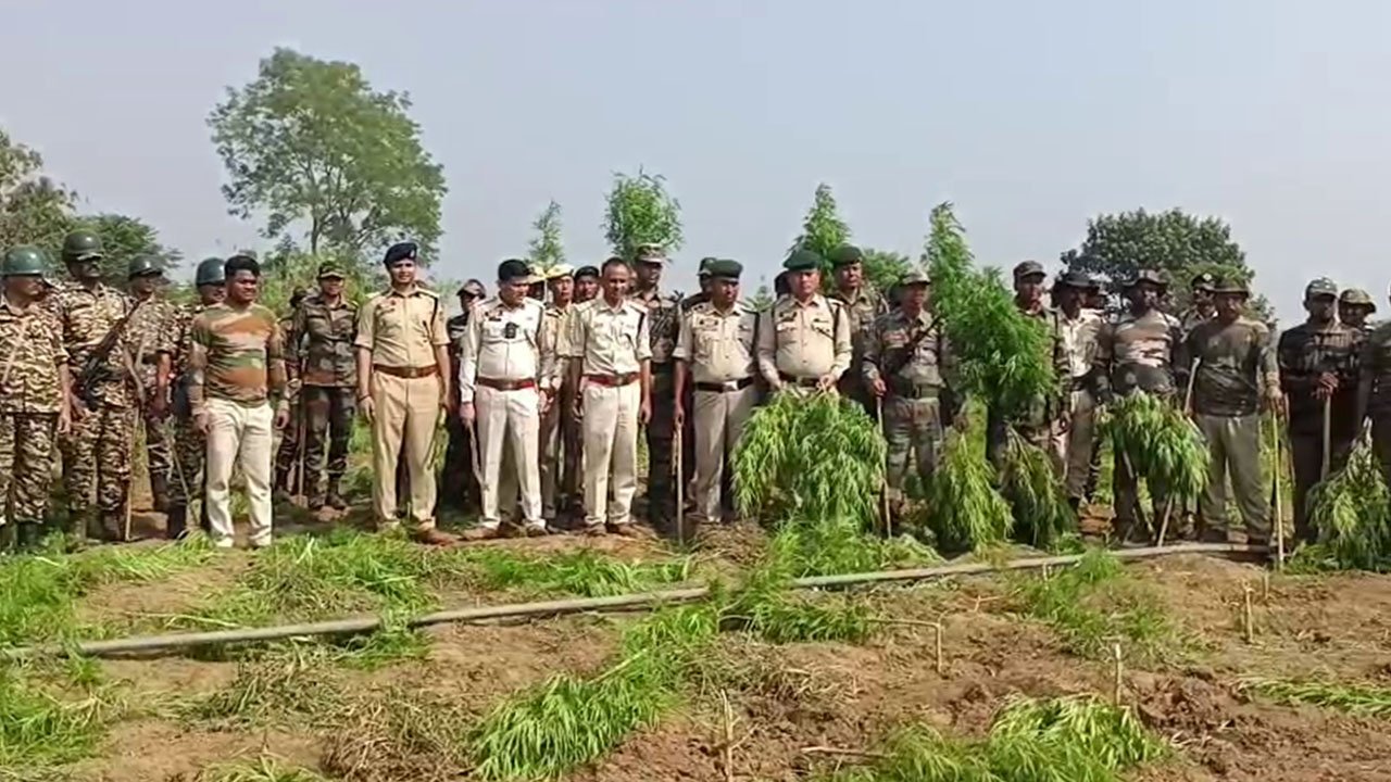 Bishalgarh Ganja News