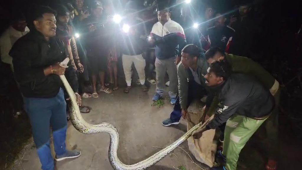 Snake Rescued in Charilam