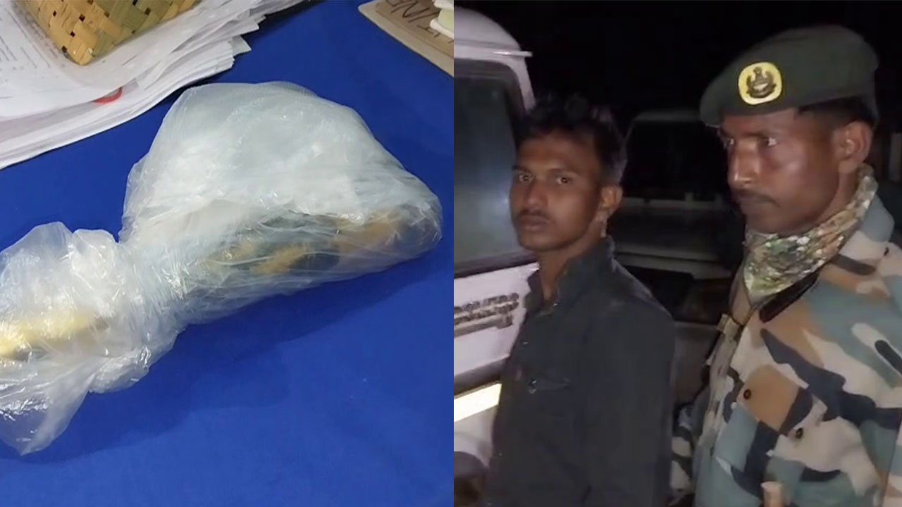 Bishalgarh Pistal News