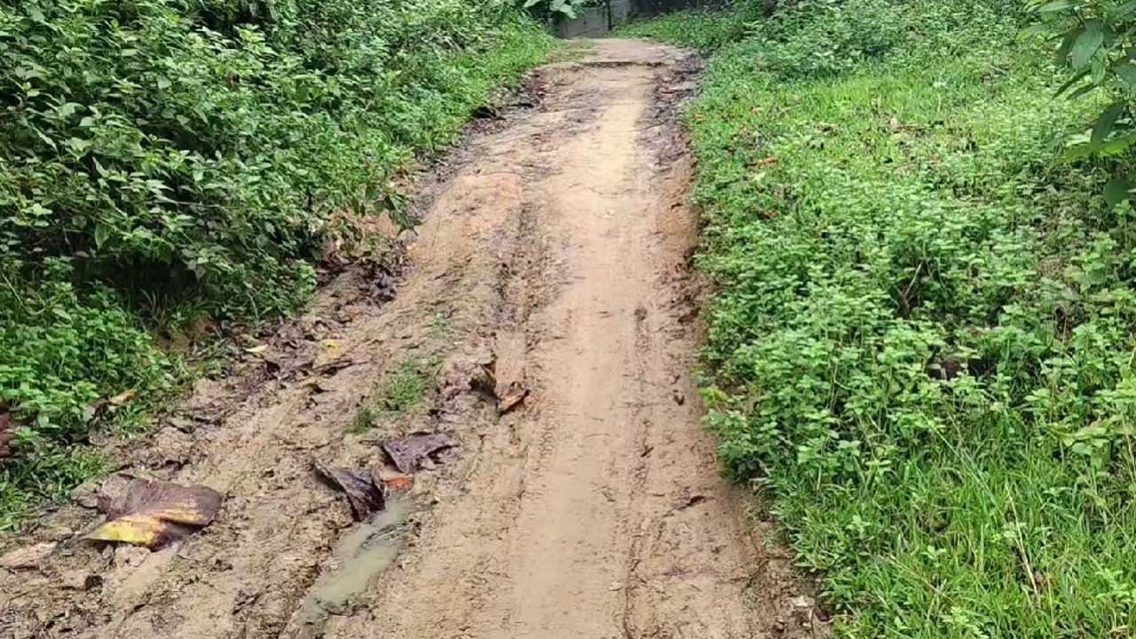Jolaibari Road News