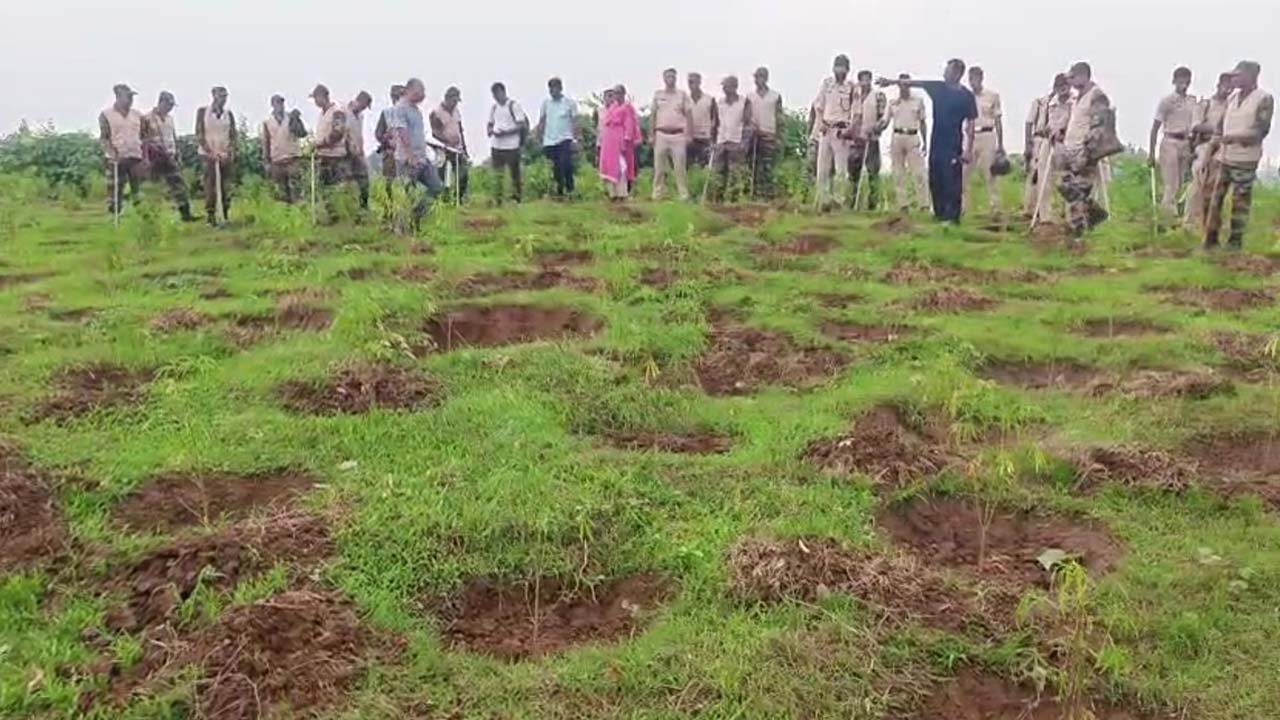 Sepahijala Ganja News